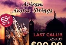 Arabic vst instruments free download
